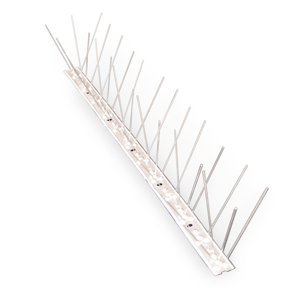 Bird Spikes NZ | Birdzout Spikes | Easy Bird Proofing — Maintrac Group