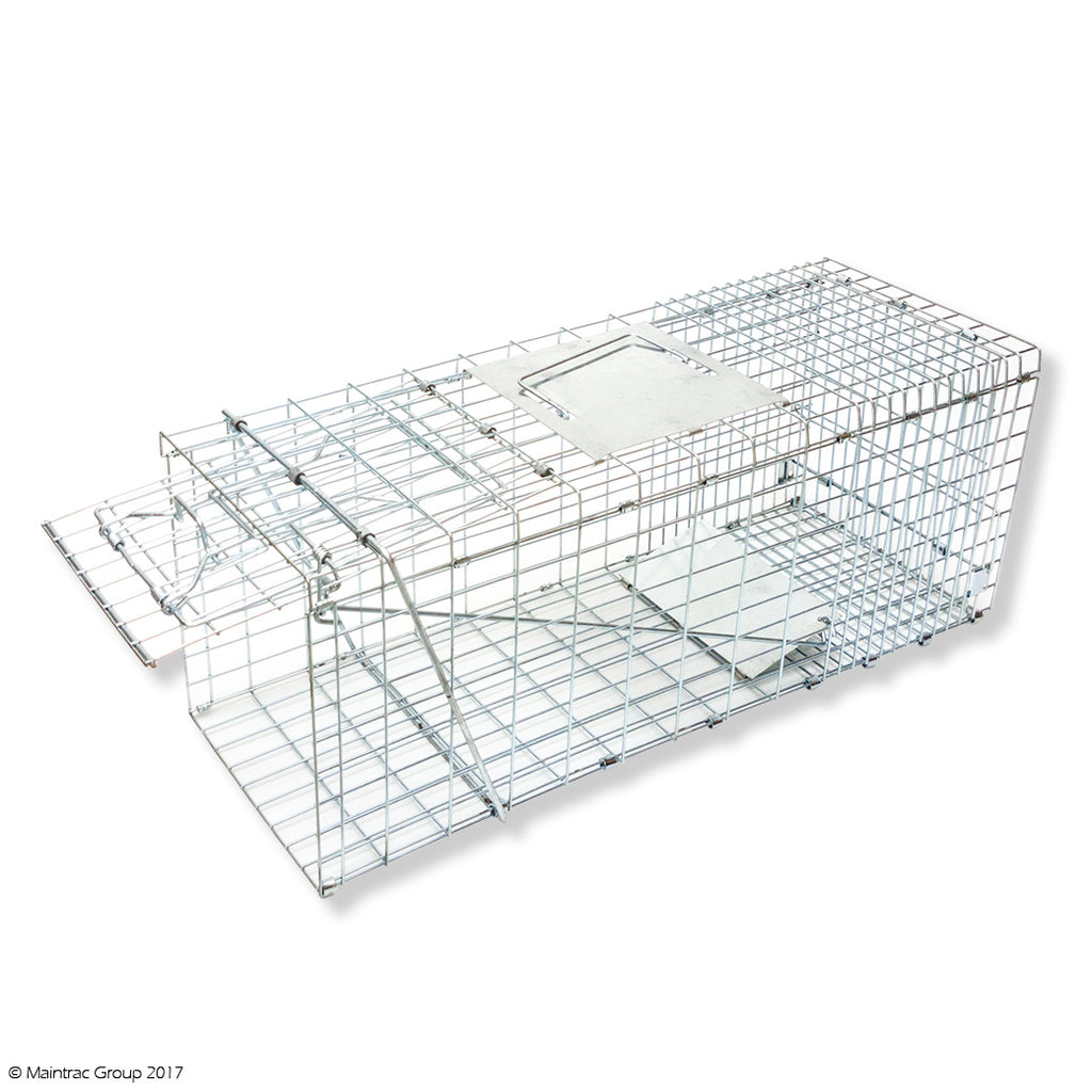 Dog & Large Animal Trap — Maintrac Group